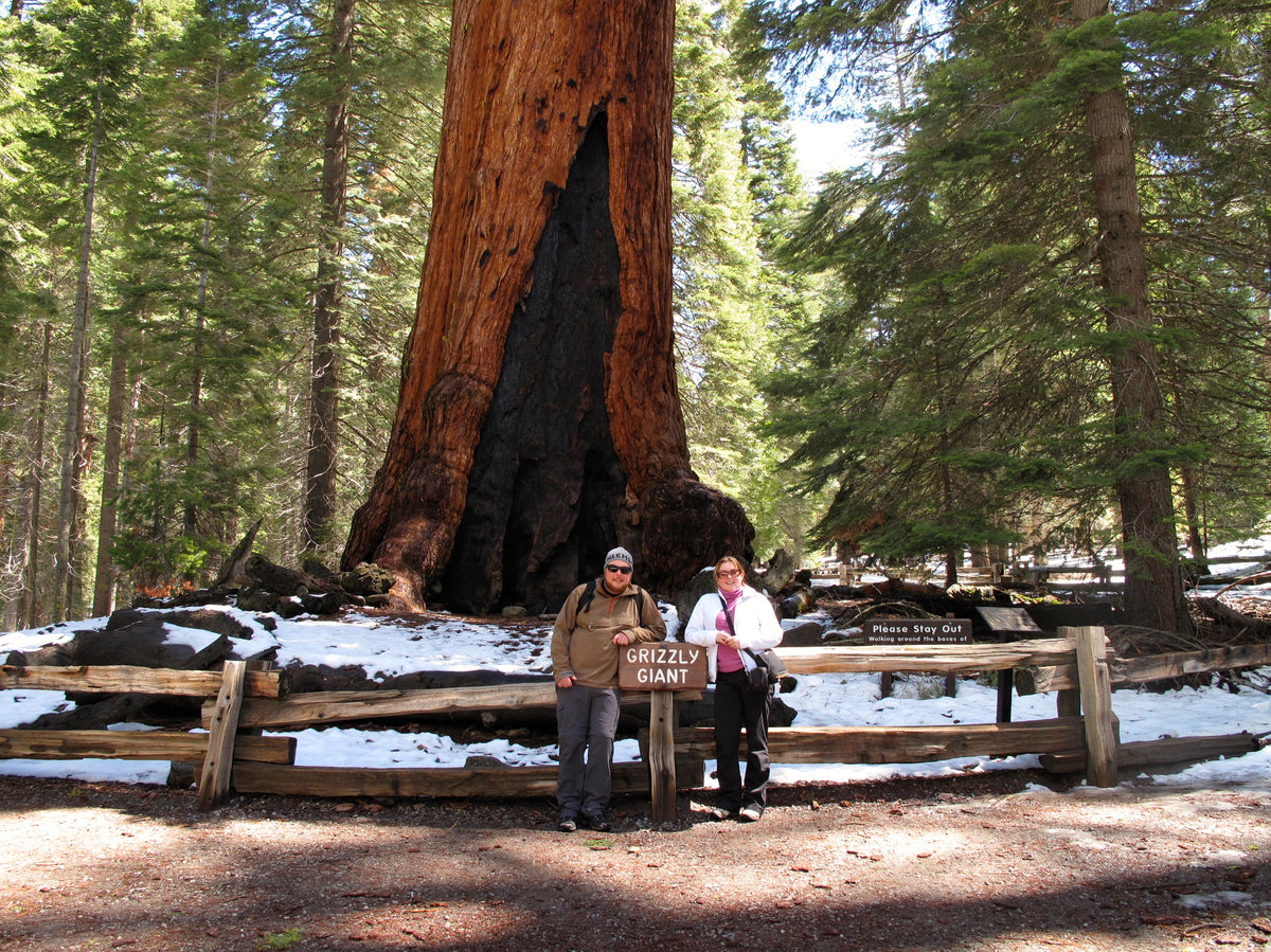 Man and woman in front of the Grizzly Giant sequoia tree in Yosemite California